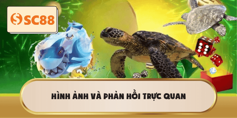 Hình ảnh và phản hồi trực quan